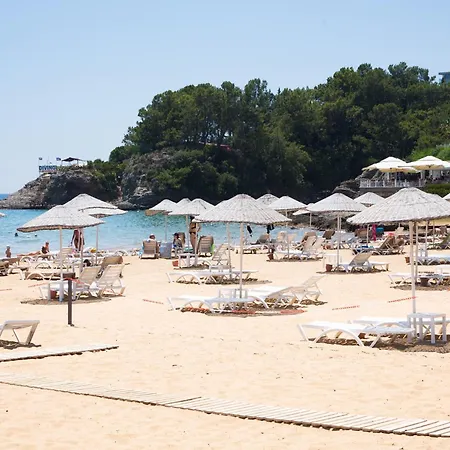 Art Life Appartement